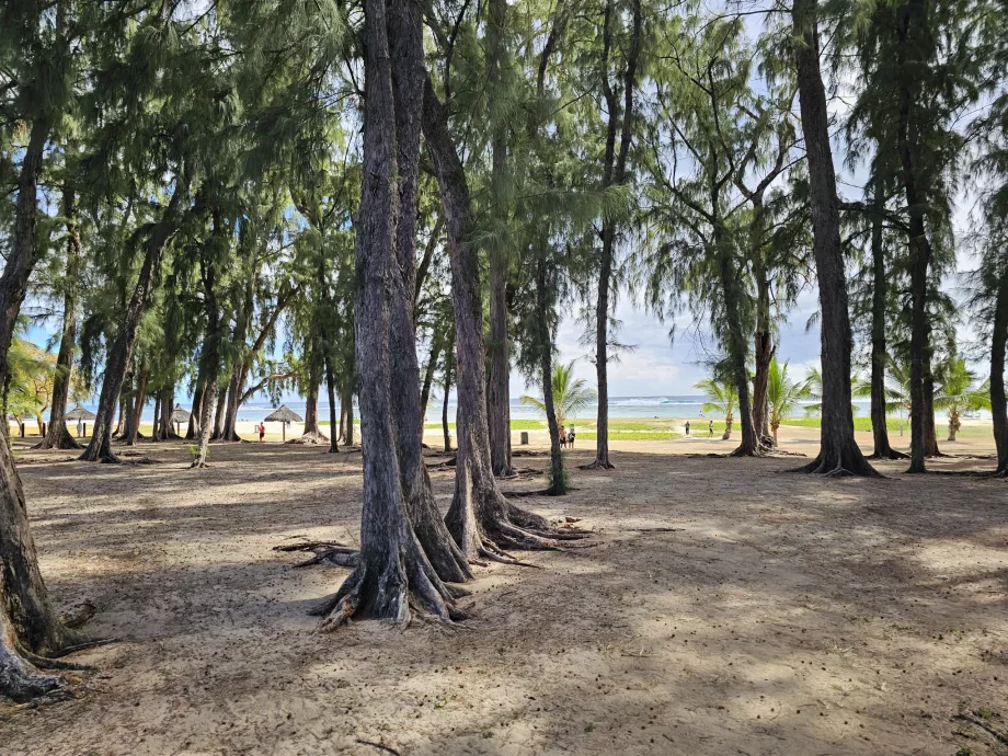 Parkir di pantai Flic en Flac