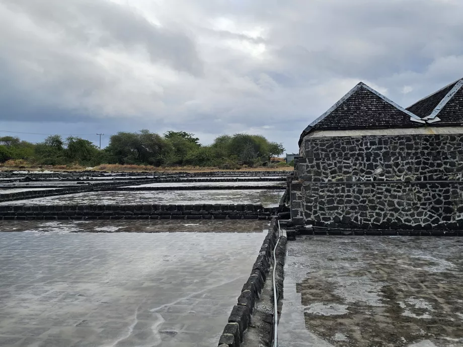 Ladang Garam Tamarin