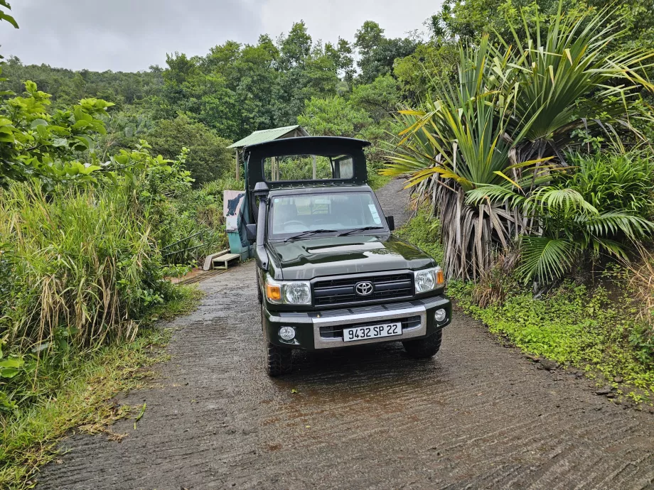 Jeep di Hutan Eboni
