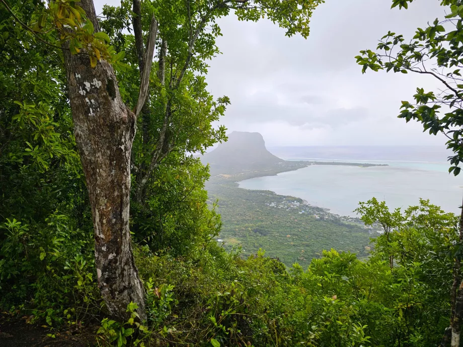 Hutan Eboni, pemandangan Le Morne