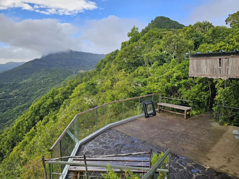 Pemandangan dari kafe di Hutan Ebony