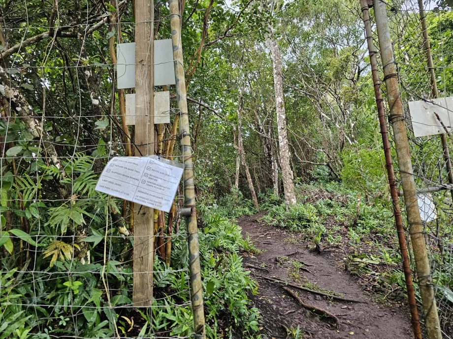 Pintu masuk ke Piton du Canot