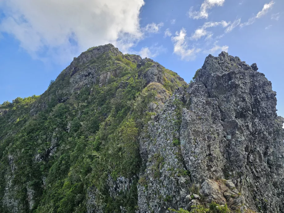 Sorotan utama dari Le Morne
