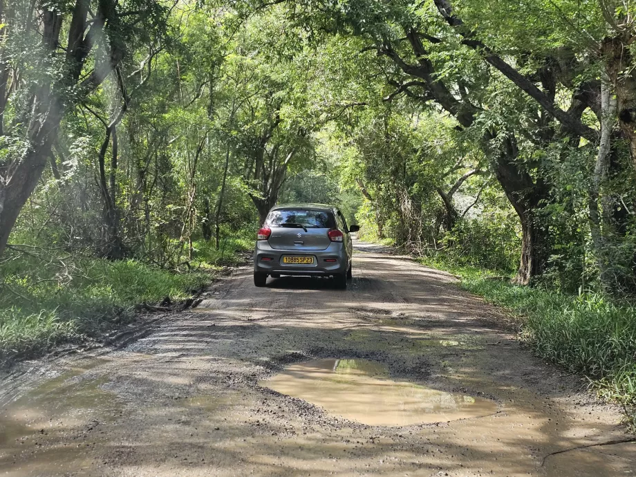 Akses jalan menuju Le Morne