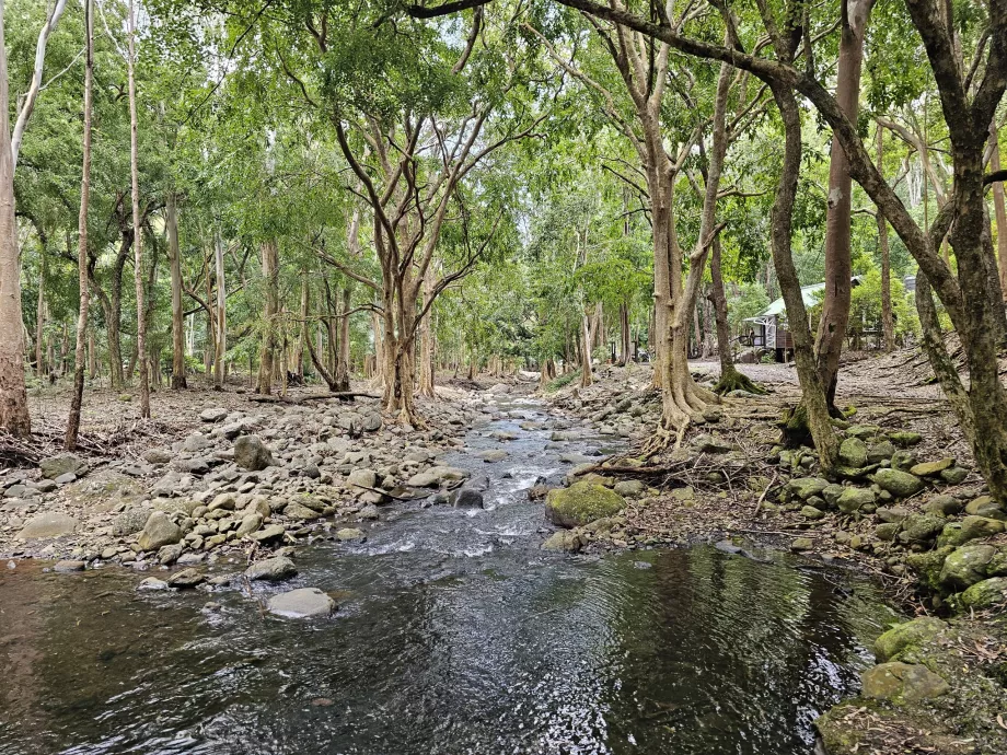 Taman Nasional Ngarai Sungai Hitam