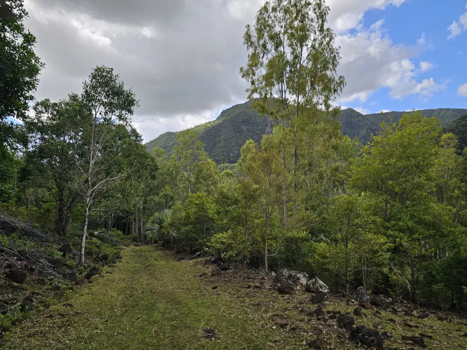 Taman Nasional Ngarai Sungai Hitam