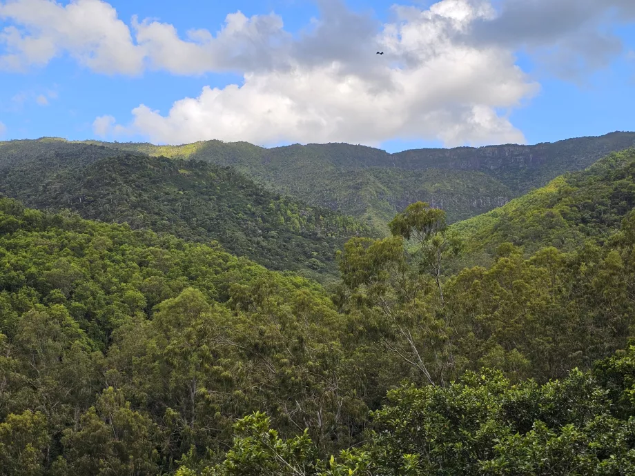 Taman Nasional Ngarai Sungai Hitam