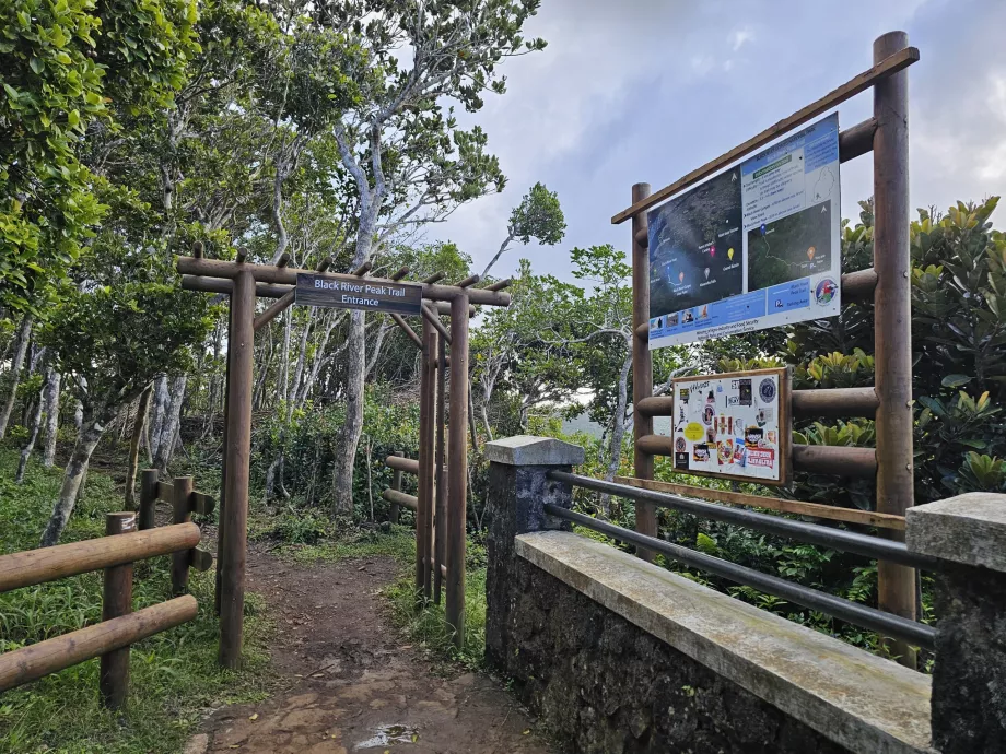 Jalur Puncak Sungai Hitam