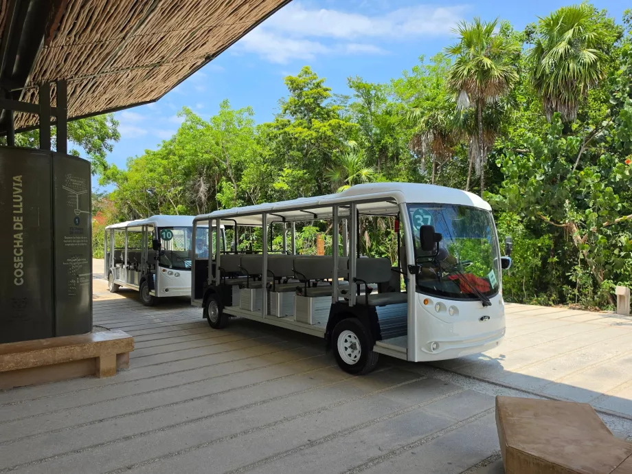 Situs Arkeologi Tulum, transportasi dengan bus listrik