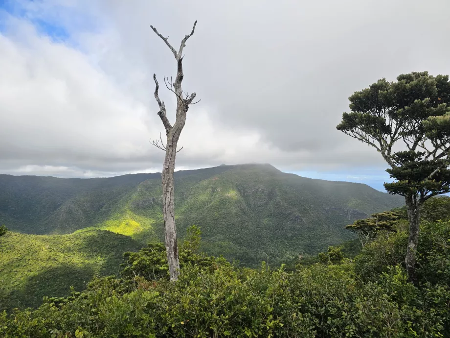 Pemandangan dari Machabee Loop