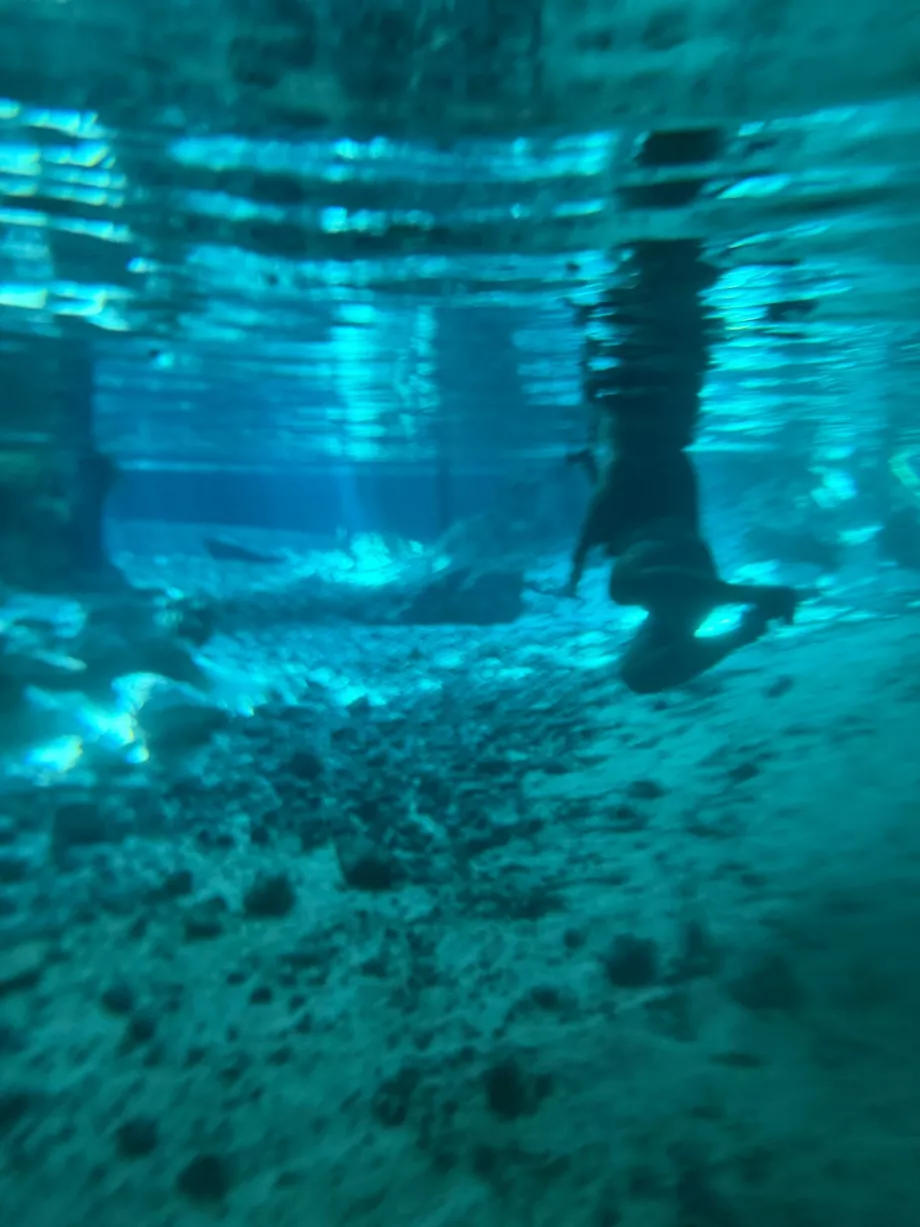 Pemandangan di bawah air di Gran Cenote
