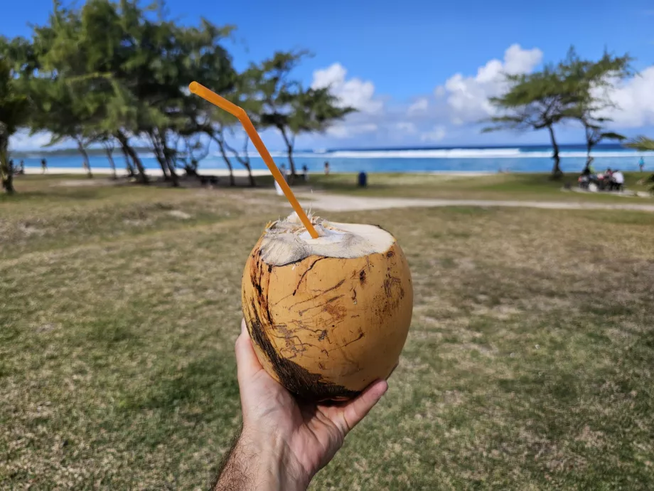 Kelapa di pantai
