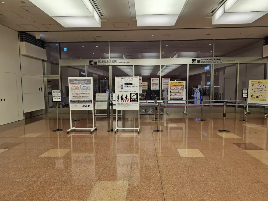 Pemeriksaan keamanan untuk penerbangan lanjutan domestik