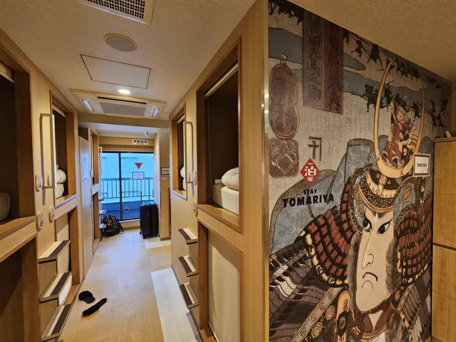 Area umum dan kapsul di atas