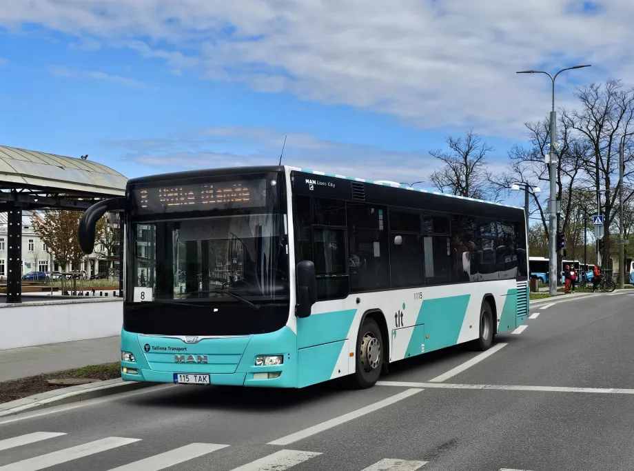 Bus Tallinn