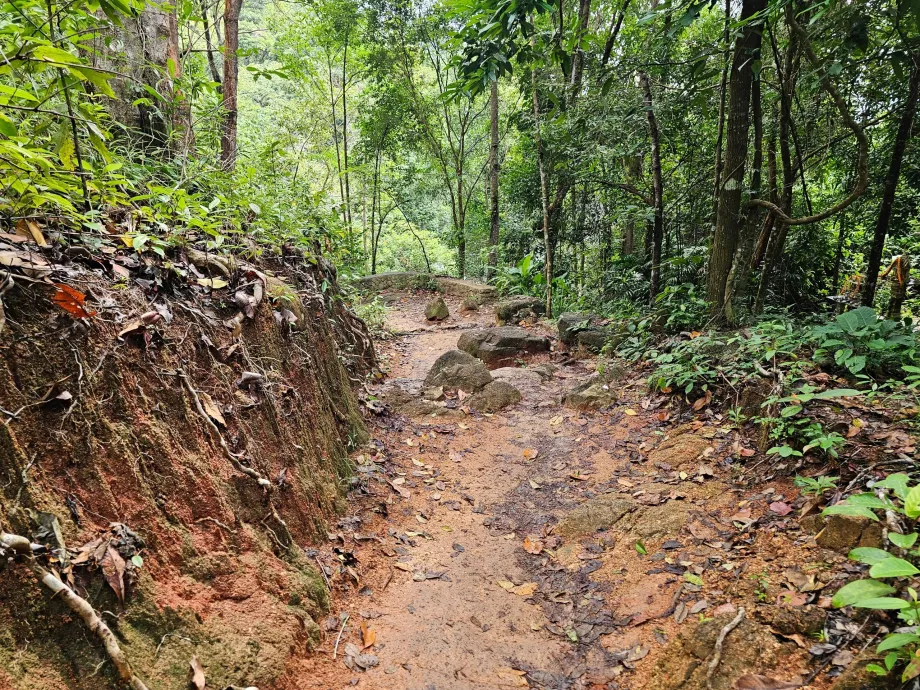 Jalan menuju Air Terjun Namuang 2