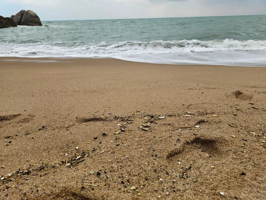 Pantai Coral Cove, kualitas pasir