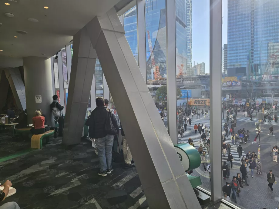 Pemandangan dari Starbucks