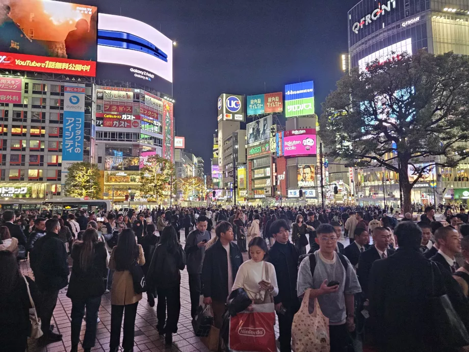 Persimpangan Shibuya di malam hari