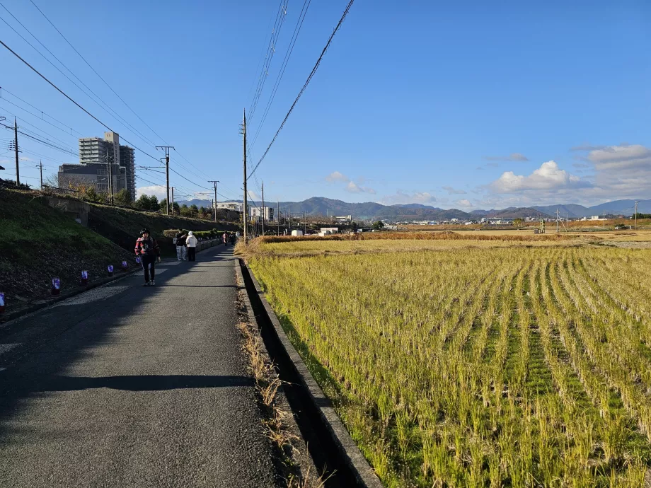 Berjalan kaki dari stasiun ke kapal