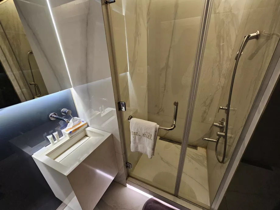 Ahlein Lounge, shower