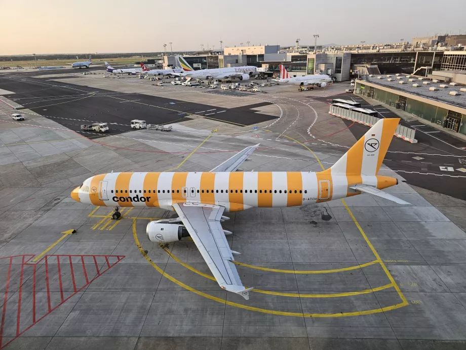 Airbus A320 berwarna kuning di Bandara Frankfurt