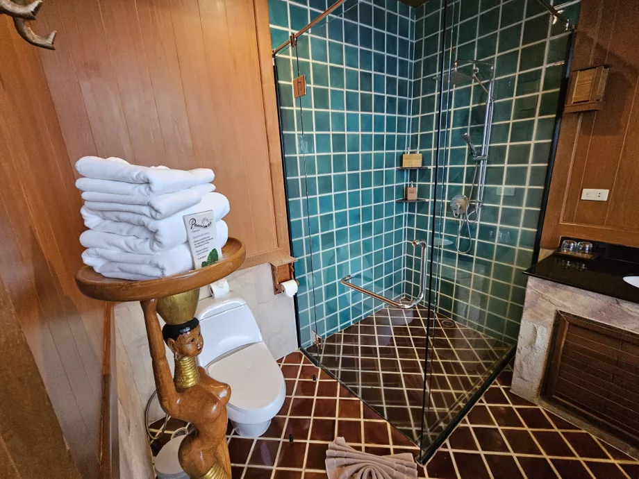 Kamar mandi - toilet dan pancuran