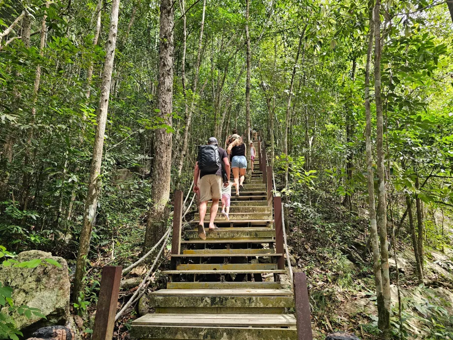 Jalan menuju air terjun