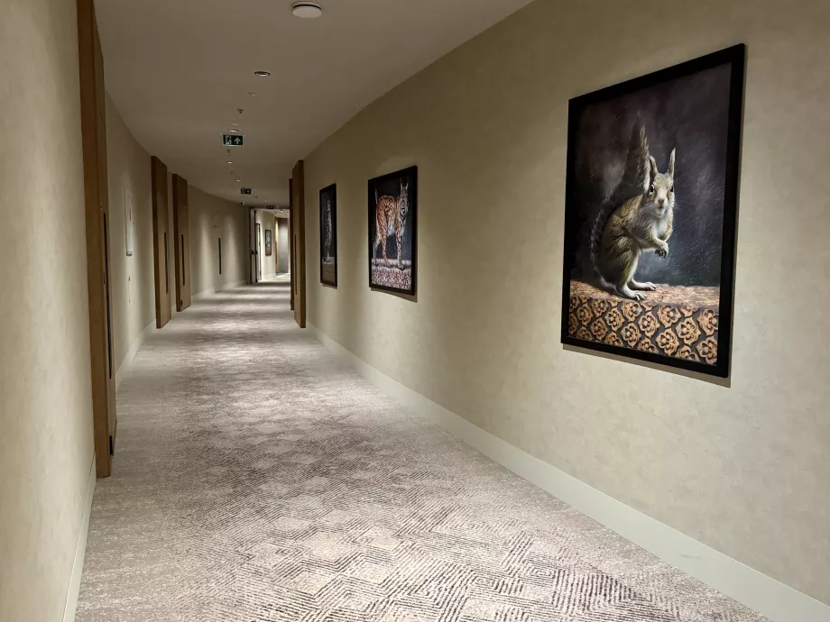 Koridor menuju kamar