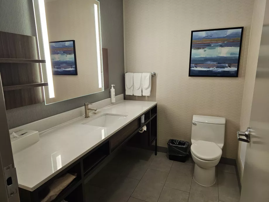 Hilton Garden Inn, kamar mandi