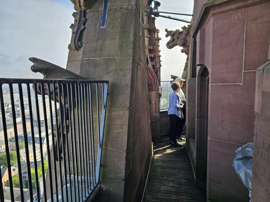 Pemandangan dari Domturm