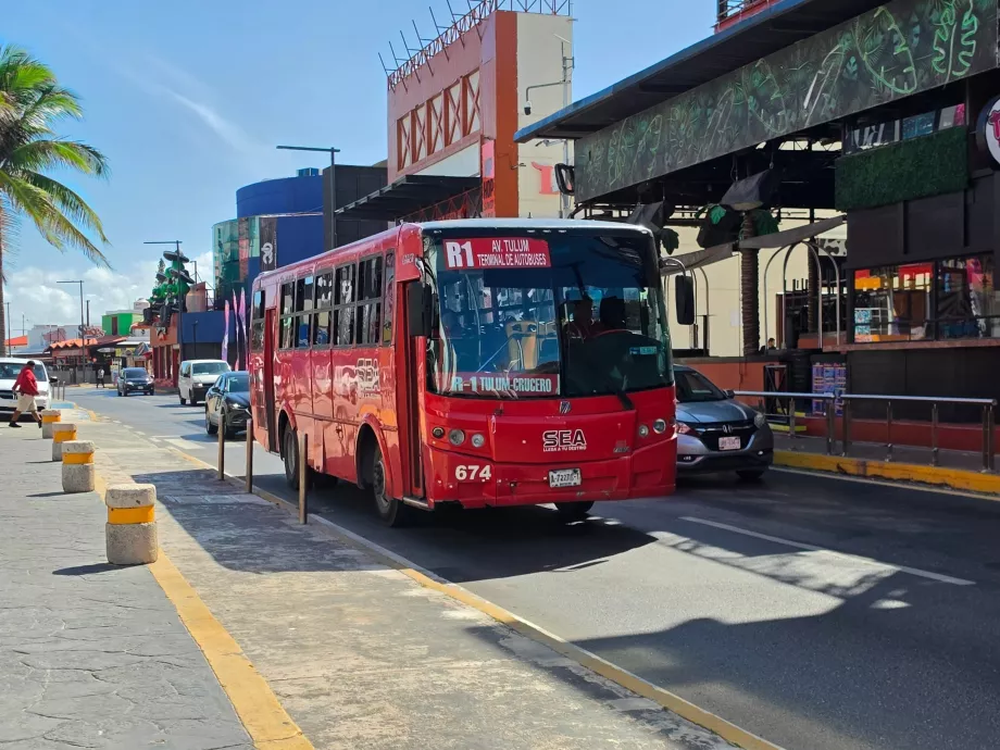Bus kota