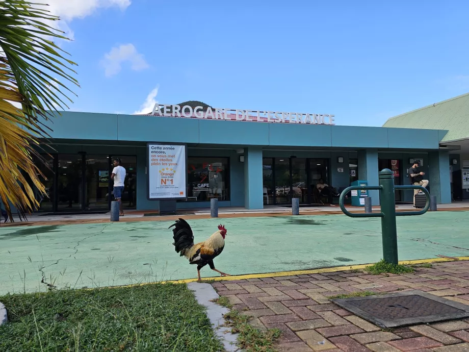 Terminal Bandara Grand Case