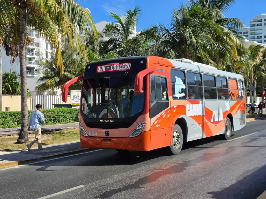 Bus kota