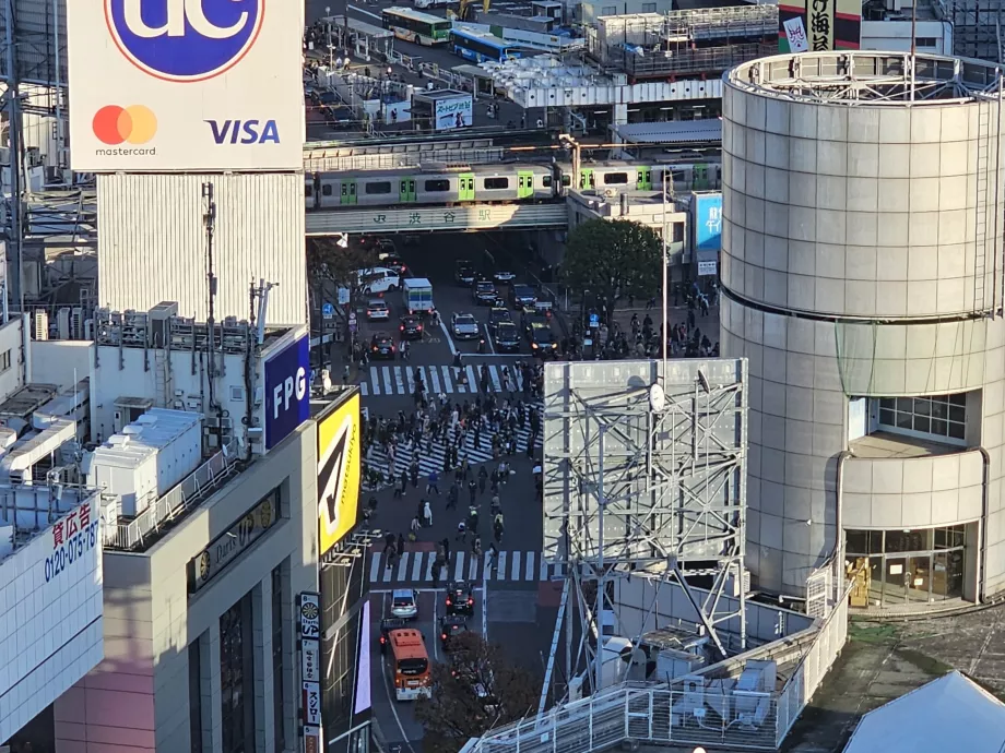 Pemandangan Persimpangan Shibuya dengan zoom