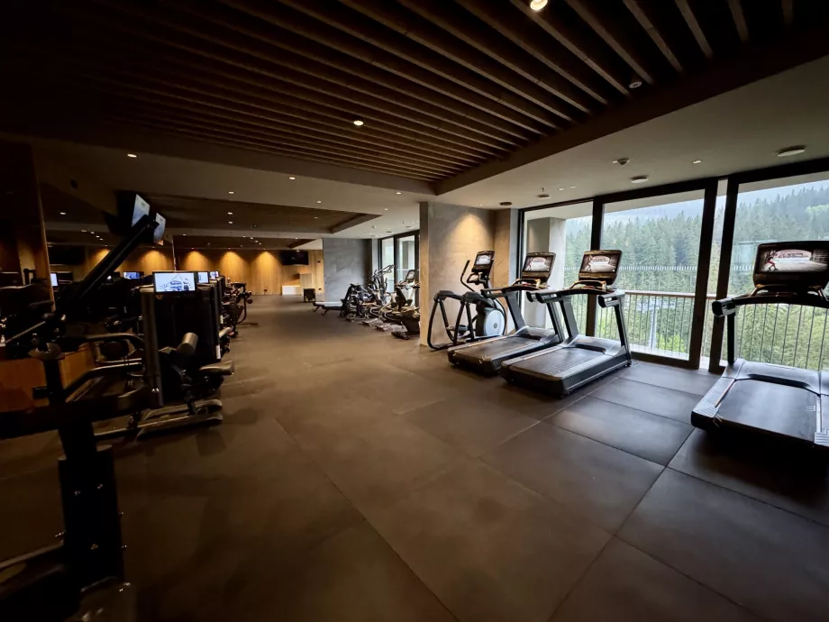 Pusat kebugaran Swissotel Damian Jasna