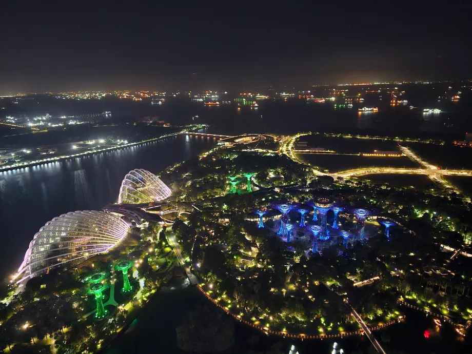 Pemandangan malam hari di Gardens by the Bay