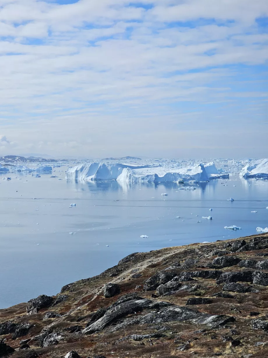 Icefiord