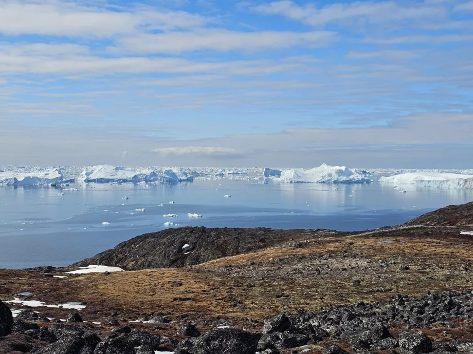 Icefiord