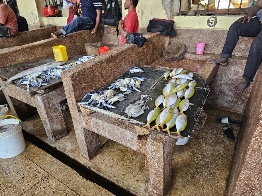 Pasar ikan