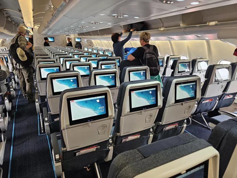 Kelas Ekonomi, Airbus A330-800