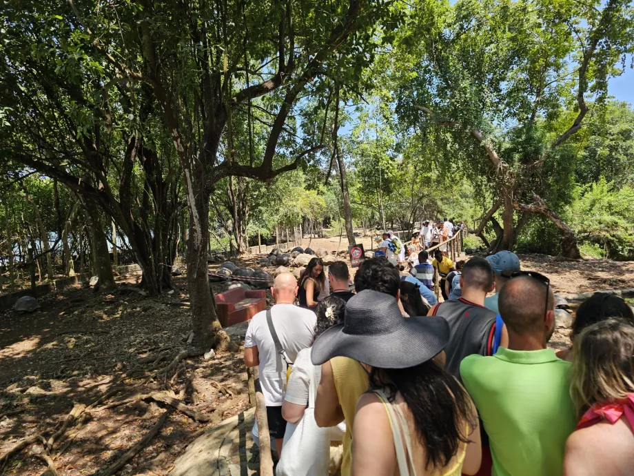 Pulau Penjara, jalan setapak melewati kandang kura-kura raksasa
