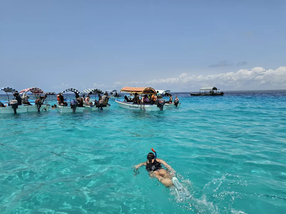 Snorkeling di dekat atol Mnemba