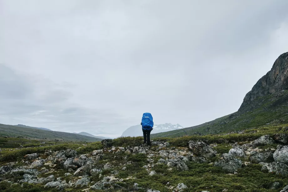 Mendaki gunung di Greenland