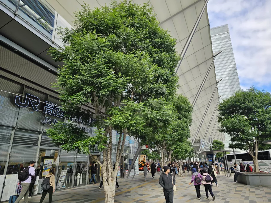 Terminal Bus Pusat Tokyo