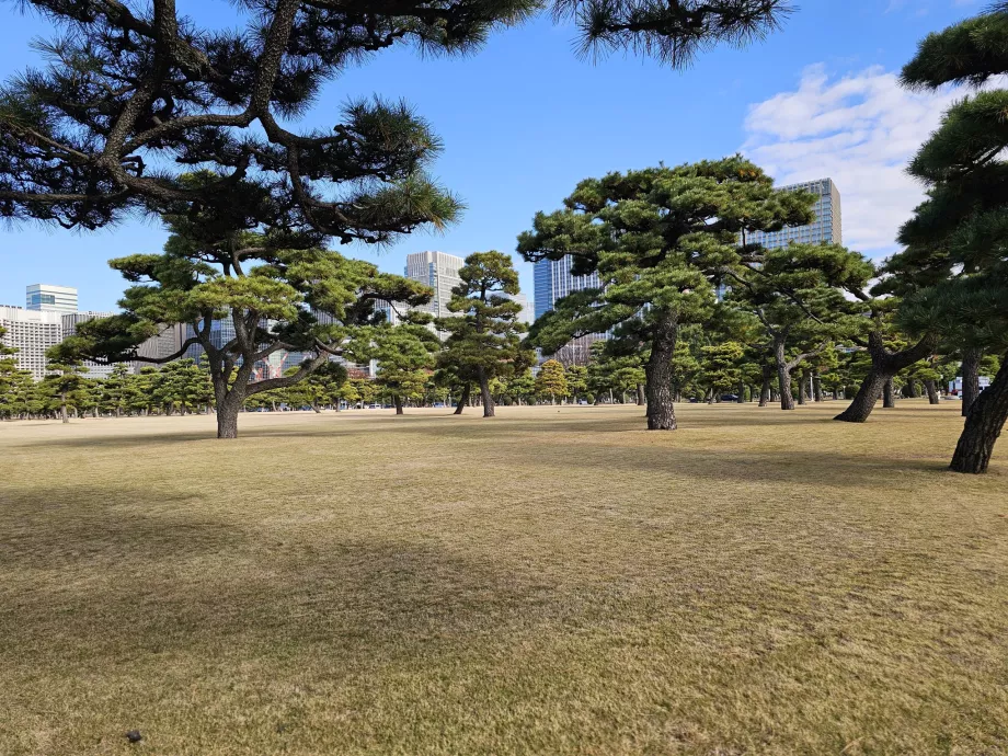 Taman Nasional Kokyo Gaien
