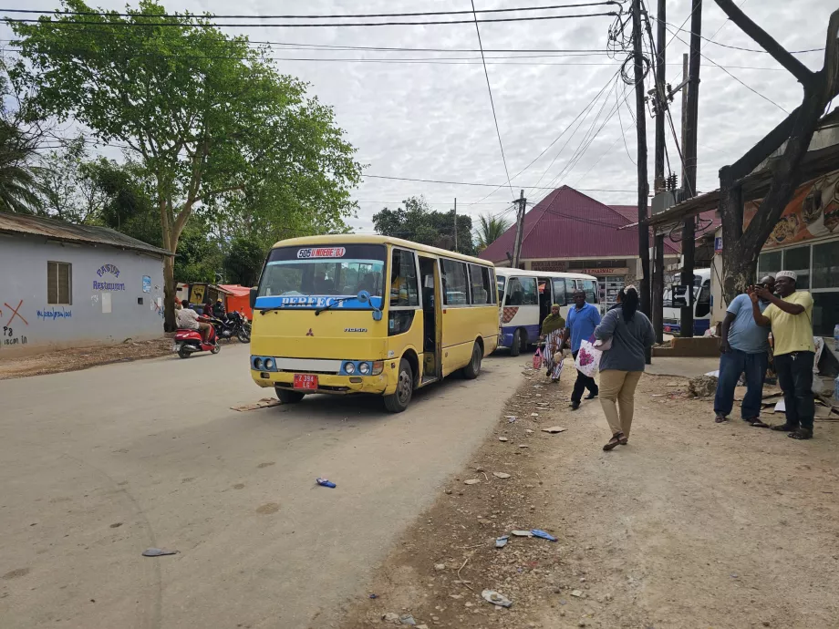 Habitat yang dia berikan di bandara