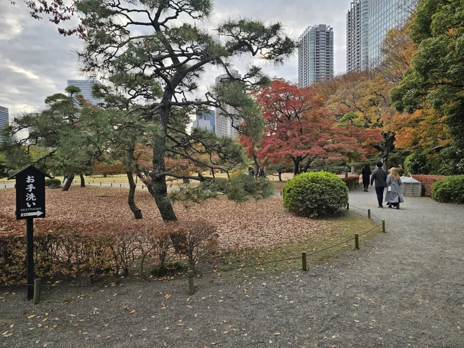 Taman Hama-rikyu