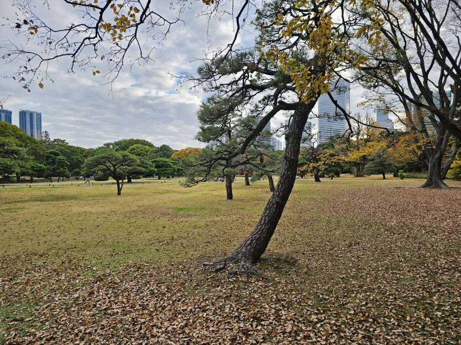 Taman Hama-rikyu
