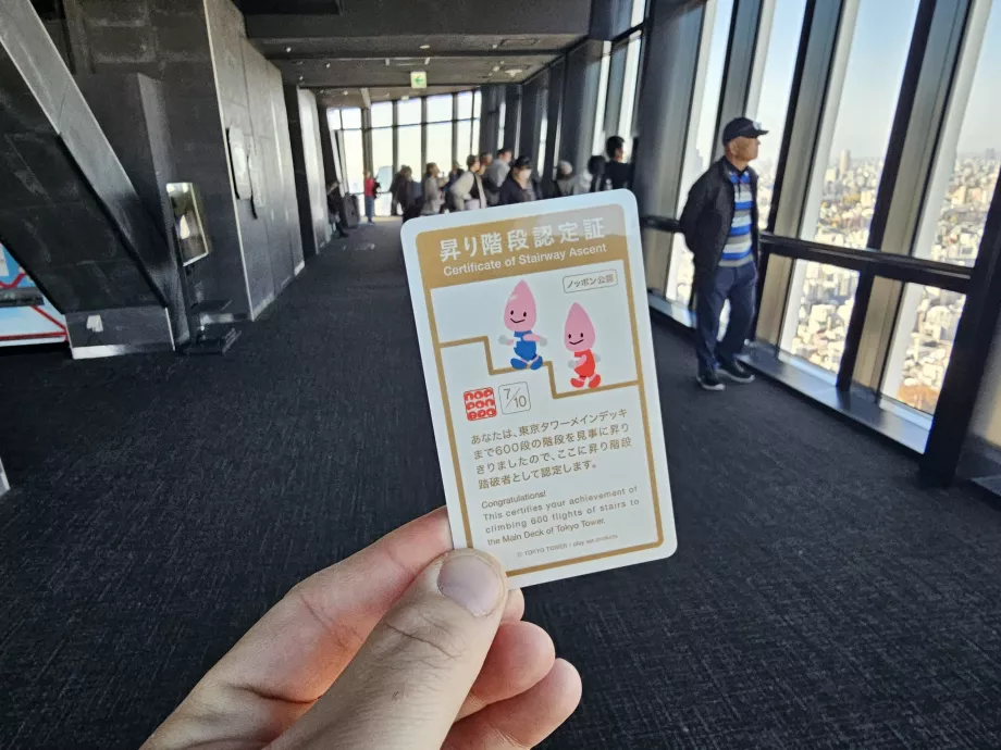 Sertifikat setelah menaiki tangga